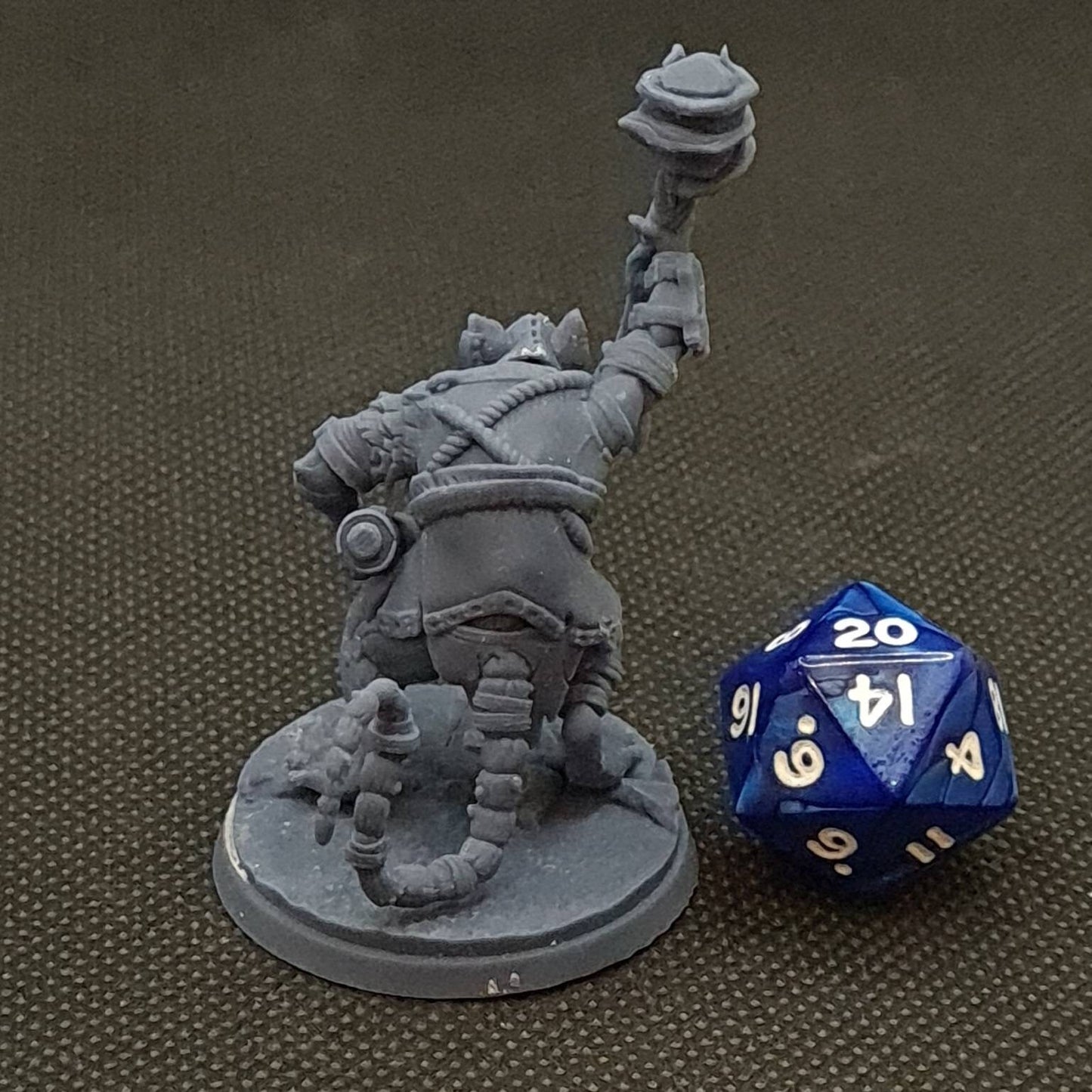 Ravager Priest | RPG Miniature for Dungeons and Dragons|Pathfinder|Tabletop Wargaming | Humanoid Miniature | Cast N Play
