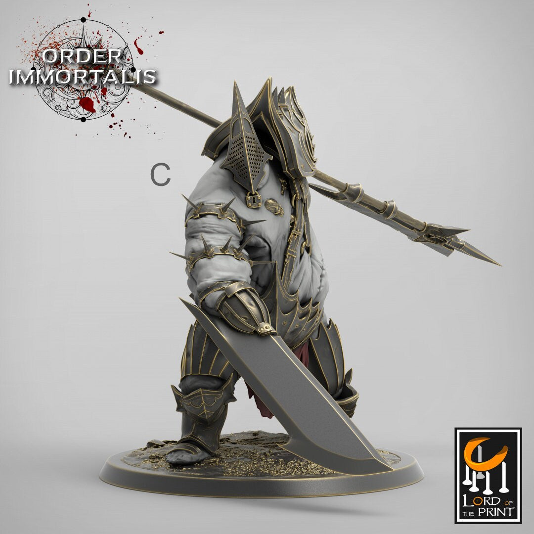 Tormentor | RPG Miniature for Dungeons and Dragons|Pathfinder|Tabletop Wargaming | Monster Miniature | Lord of the Print