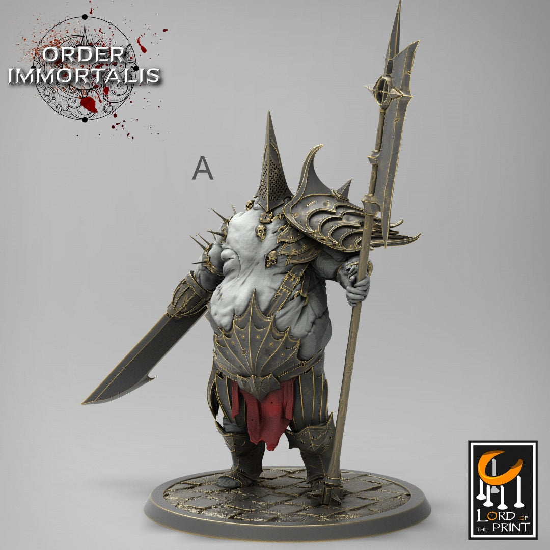 Tormentor | RPG Miniature for Dungeons and Dragons|Pathfinder|Tabletop Wargaming | Monster Miniature | Lord of the Print