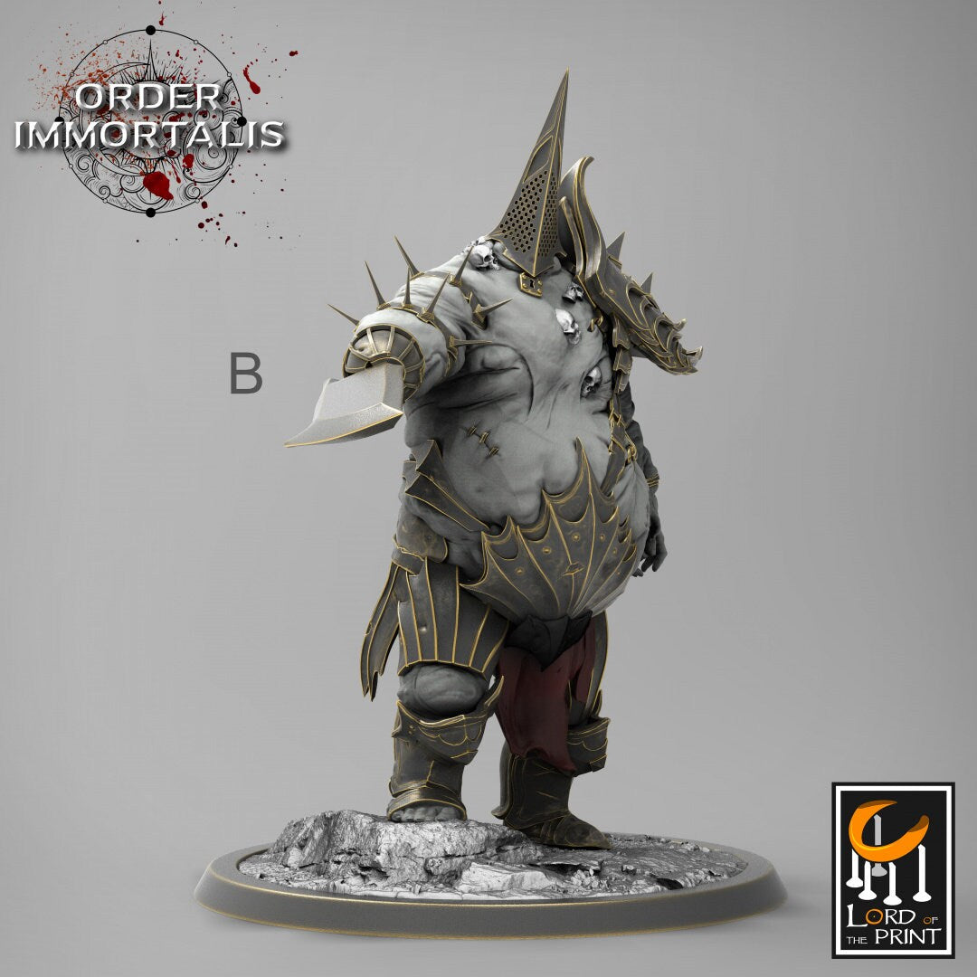 Tormentor | RPG Miniature for Dungeons and Dragons|Pathfinder|Tabletop Wargaming | Monster Miniature | Lord of the Print