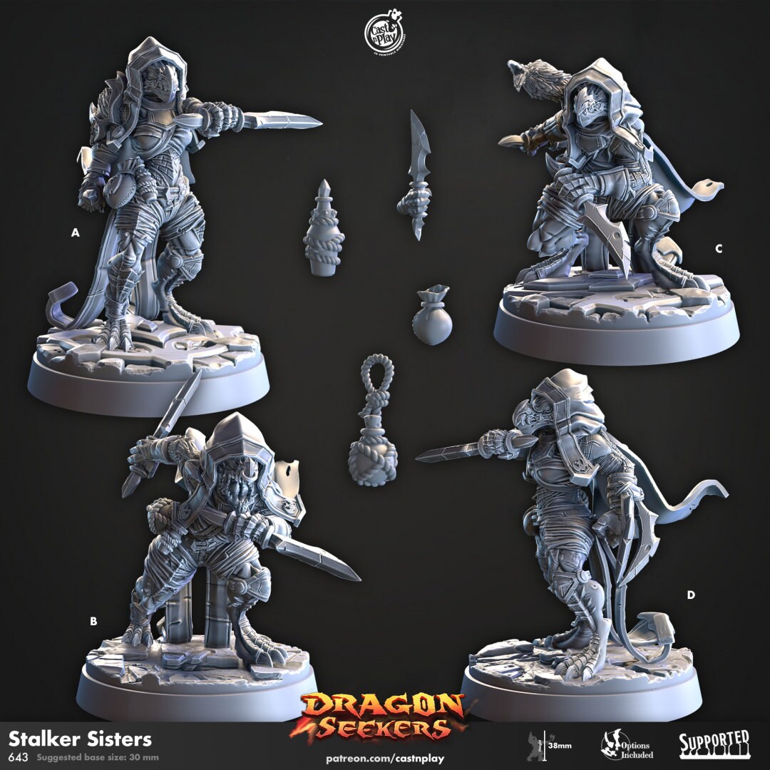 Dragon Seekers - Part 1 | RPG Miniature for Dungeons and Dragons|Pathfinder|Tabletop Wargaming | Dragonborn Miniature | Cast N Play