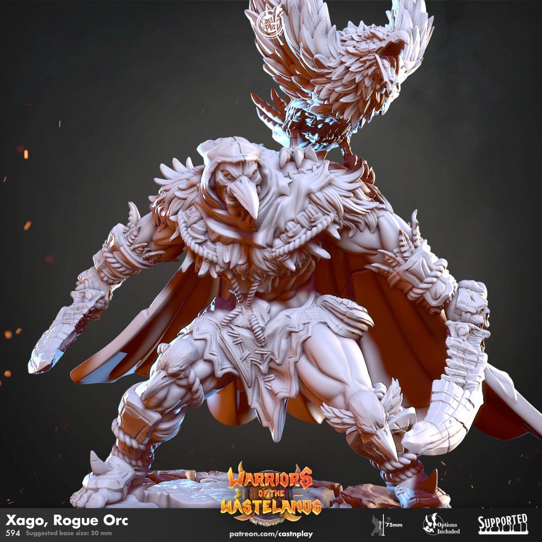 Xago, Rogue Orc | RPG Miniature for Dungeons and Dragons|Pathfinder|Tabletop Wargaming | Humanoid Miniature | Cast N Play