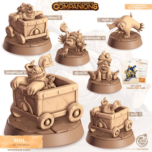 Mole Companion | RPG Miniature for Dungeons and Dragons|Pathfinder|Tabletop Wargaming | Companion Miniature | Cast N Play