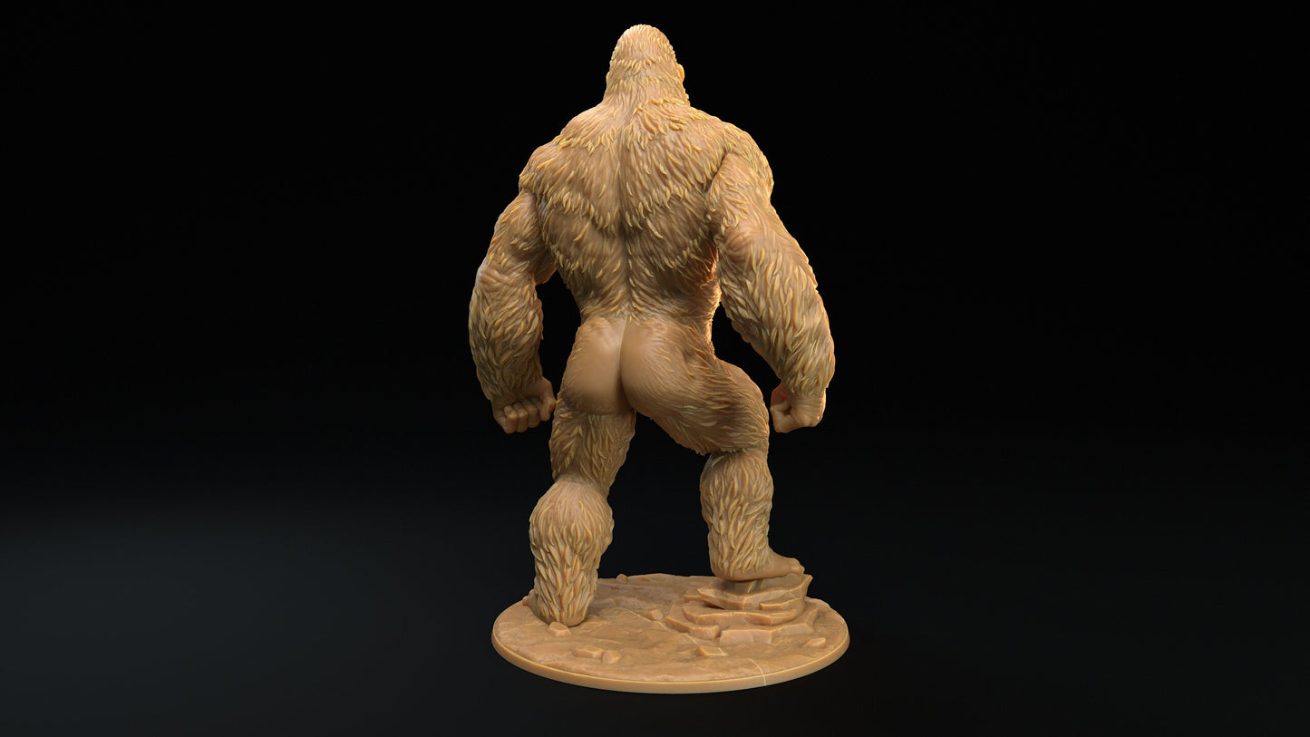 Khong | RPG Miniature for Dungeons and Dragons|Pathfinder|Tabletop Wargaming | Monster Miniature | Dragon Trappers Lodge