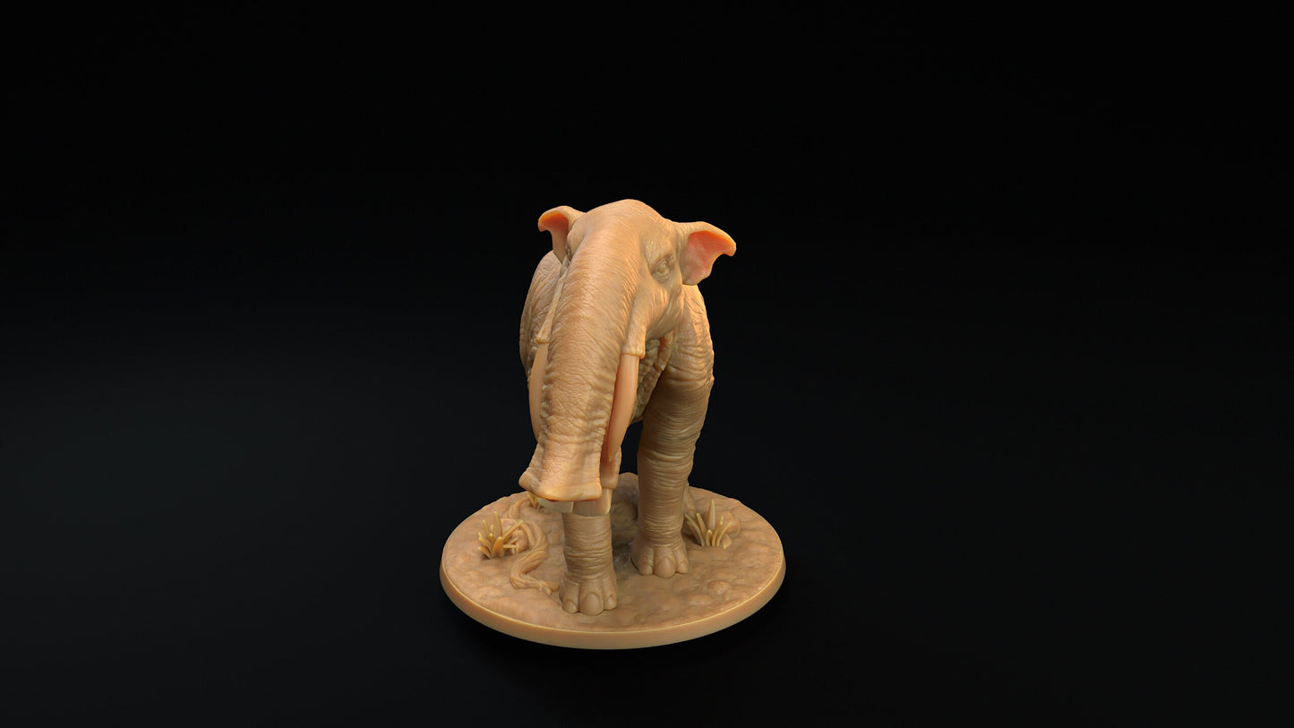 Platybelodon | RPG Miniature for Dungeons and Dragons|Pathfinder|Tabletop Wargaming | Beast Miniature | Dragon Trappers Lodge