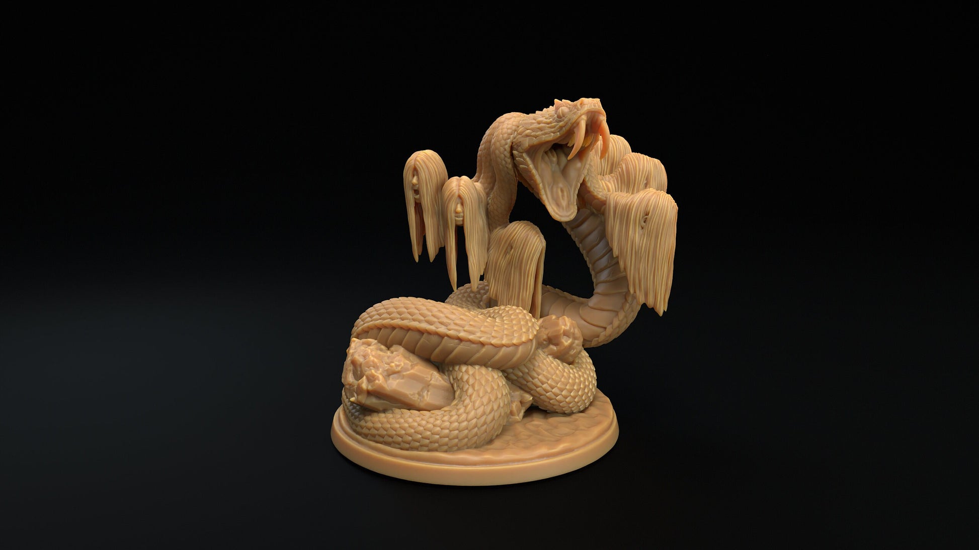 Reverse Medusa | RPG Miniature for Dungeons and Dragons|Pathfinder|Tabletop Wargaming | Monster Miniature | Dragon Trappers Lodge