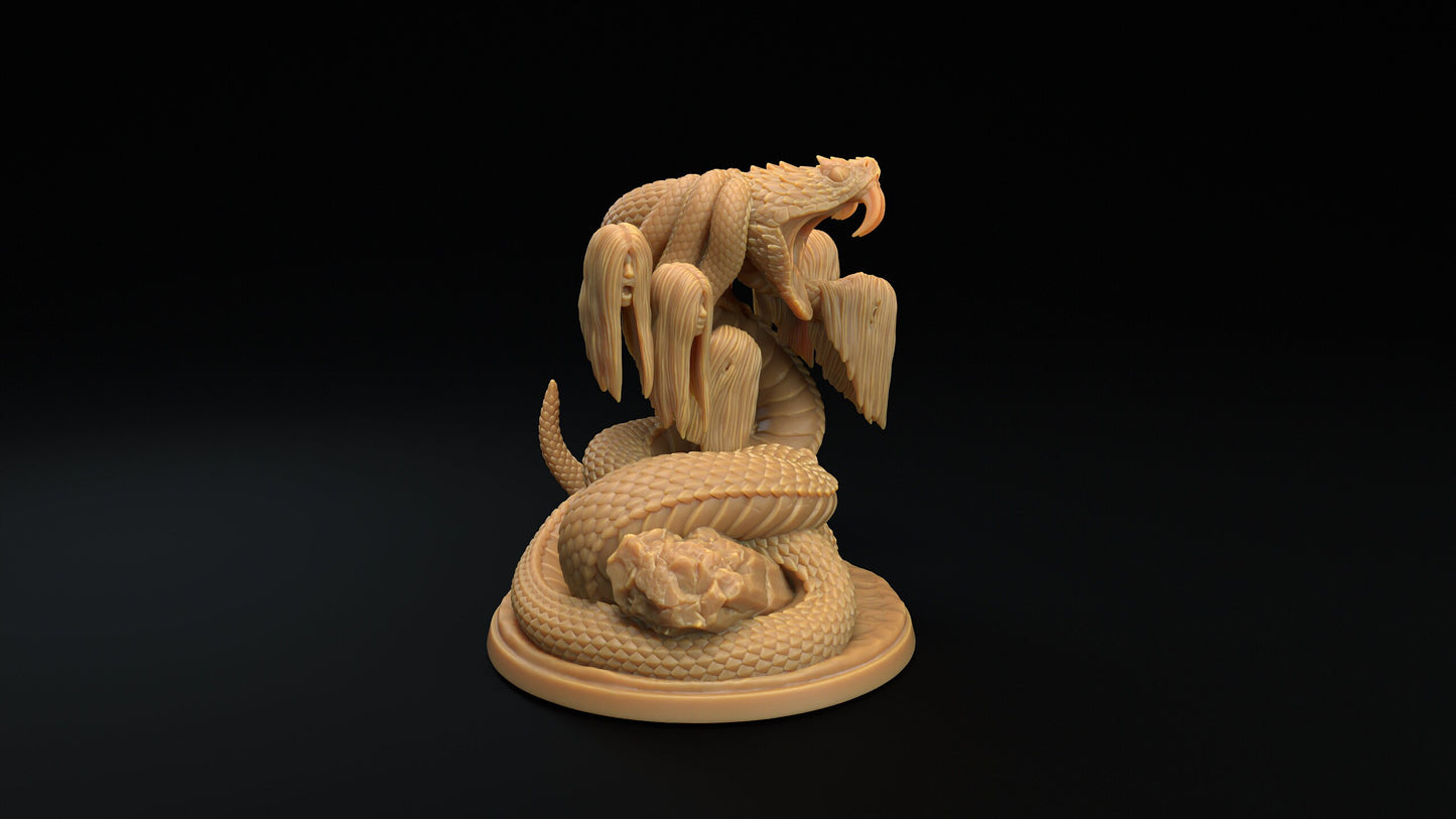 Reverse Medusa | RPG Miniature for Dungeons and Dragons|Pathfinder|Tabletop Wargaming | Monster Miniature | Dragon Trappers Lodge