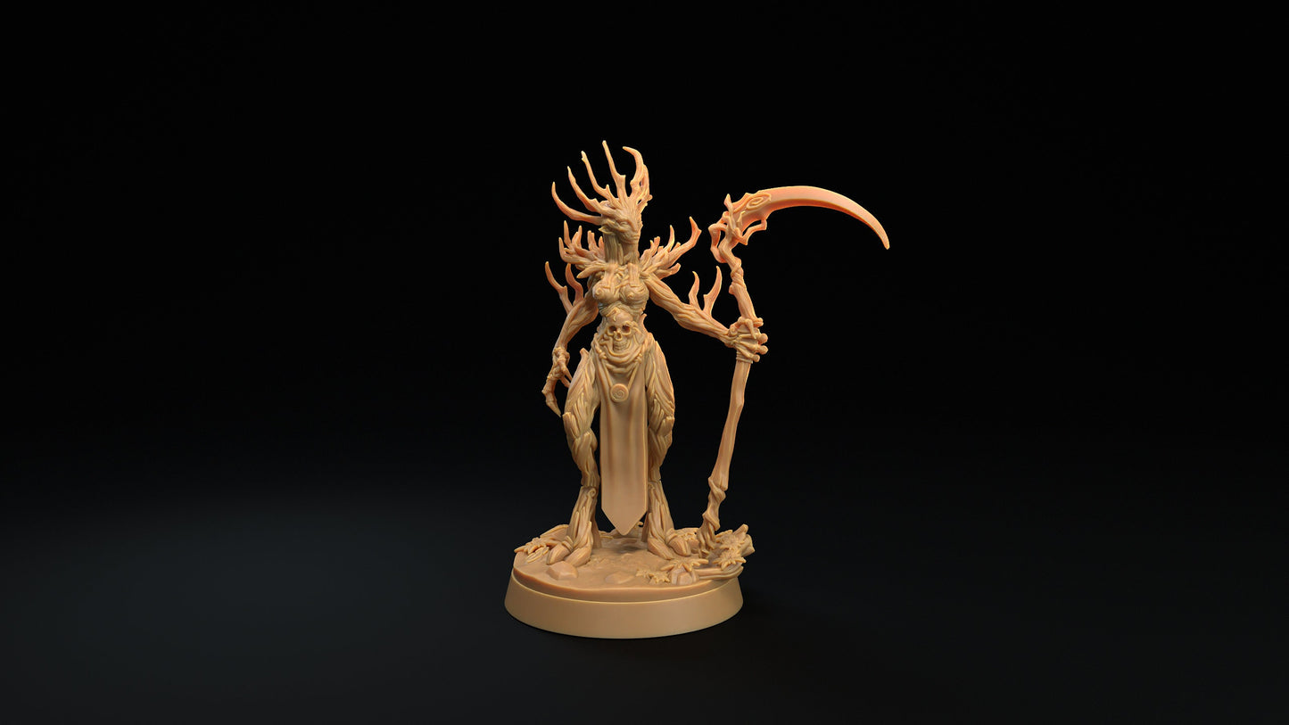 Dryad Matriarch | RPG Miniature for Dungeons and Dragons|Pathfinder|Tabletop Wargaming | Fey Miniature | Dragon Trappers Lodge