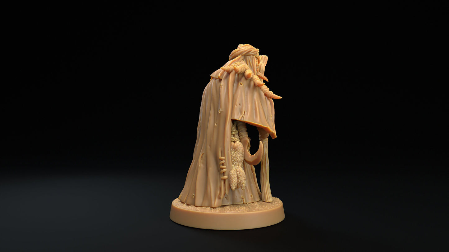 Swamp Hags | RPG Miniature for Dungeons and Dragons|Pathfinder|Tabletop Wargaming | Fey Miniature | Dragon Trappers Lodge
