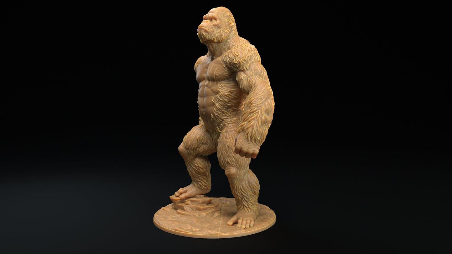 Khong | RPG Miniature for Dungeons and Dragons|Pathfinder|Tabletop Wargaming | Monster Miniature | Dragon Trappers Lodge