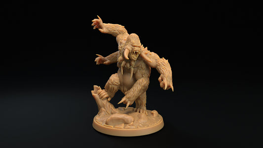 Skarr'Gor
