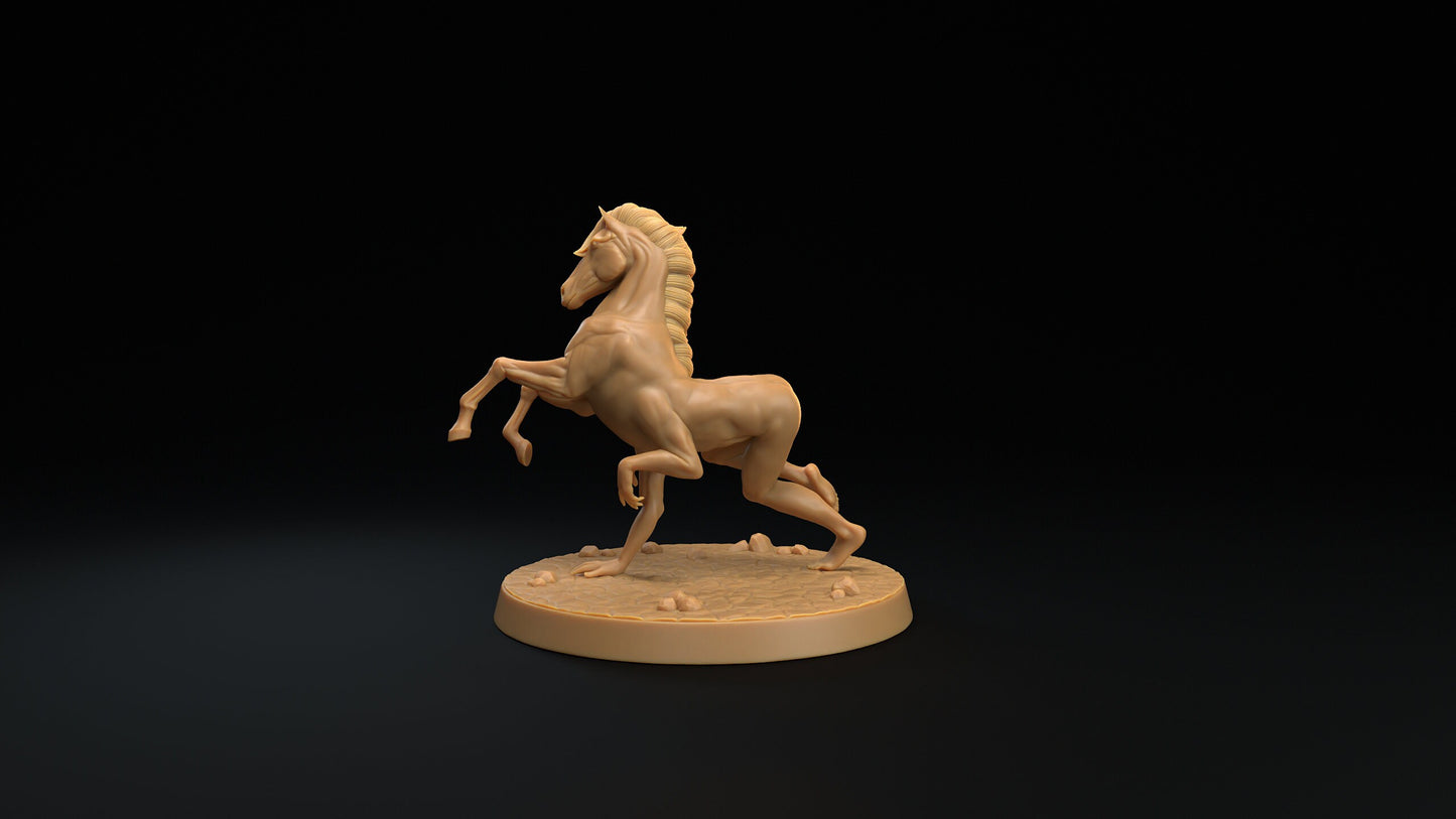 Reverse Centaurs | RPG Miniature for Dungeons and Dragons|Pathfinder|Tabletop Wargaming | Monster Miniature | Dragon Trappers Lodge