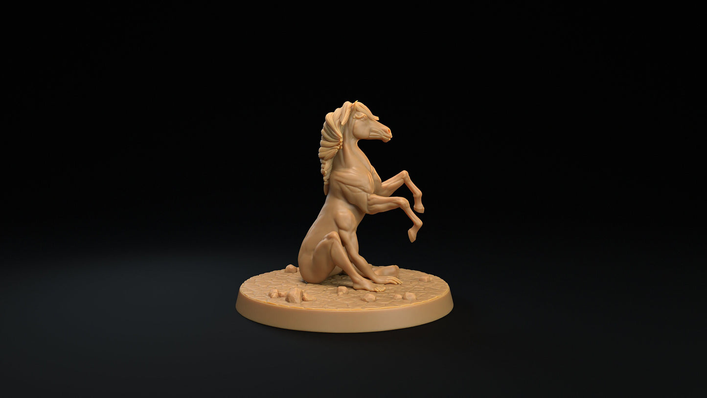 Reverse Centaurs | RPG Miniature for Dungeons and Dragons|Pathfinder|Tabletop Wargaming | Monster Miniature | Dragon Trappers Lodge