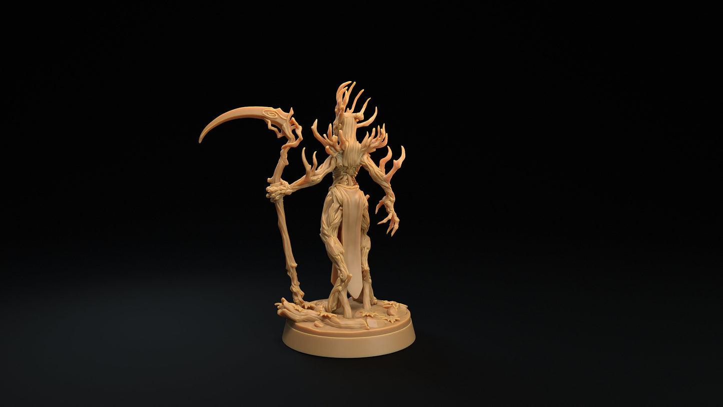 Dryad Matriarch | RPG Miniature for Dungeons and Dragons|Pathfinder|Tabletop Wargaming | Fey Miniature | Dragon Trappers Lodge