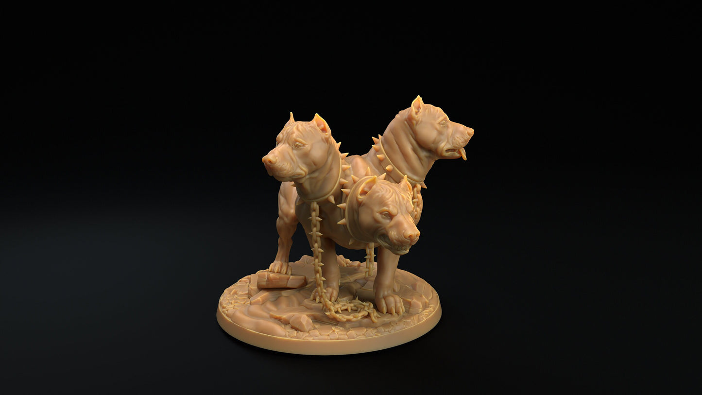 Modular Cerberus | RPG Miniature for Dungeons and Dragons|Pathfinder|Tabletop Wargaming | Monster Miniature | Dragon Trappers Lodge