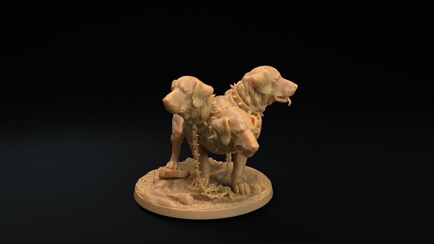 Modular Cerberus | RPG Miniature for Dungeons and Dragons|Pathfinder|Tabletop Wargaming | Monster Miniature | Dragon Trappers Lodge