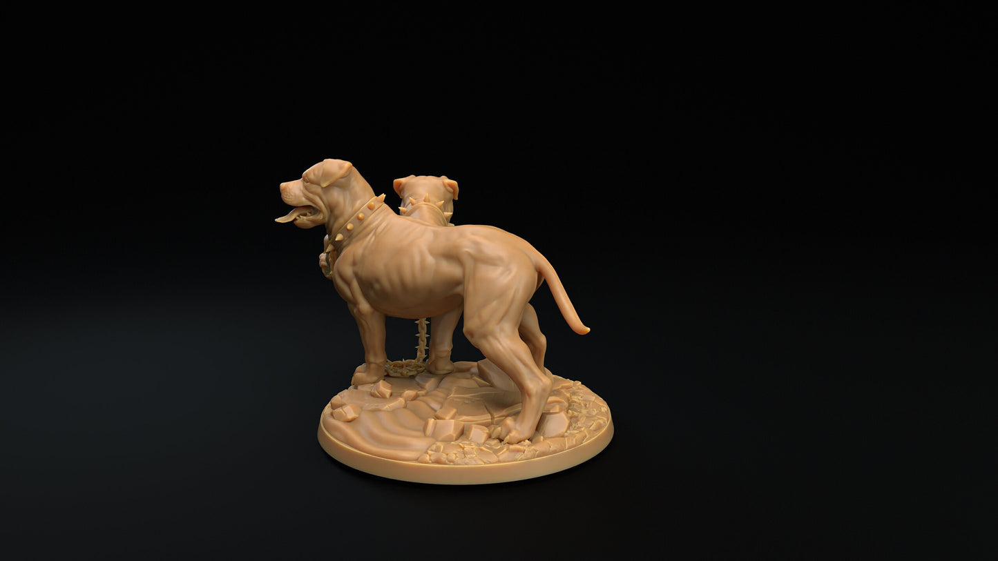 Modular Cerberus | RPG Miniature for Dungeons and Dragons|Pathfinder|Tabletop Wargaming | Monster Miniature | Dragon Trappers Lodge