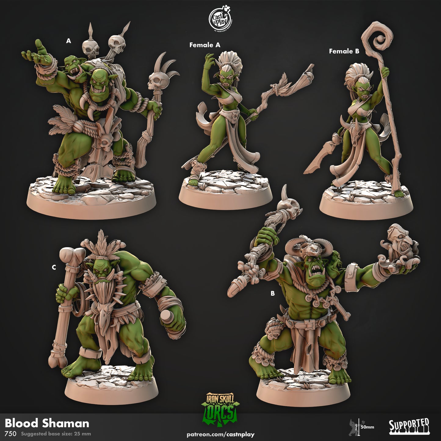 Blood Shaman Orcs | Iron Skull Orcs