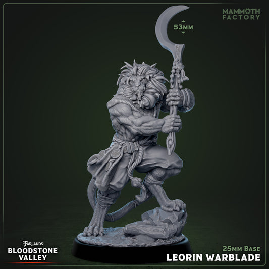 Leorin Warblade | D&D Miniature