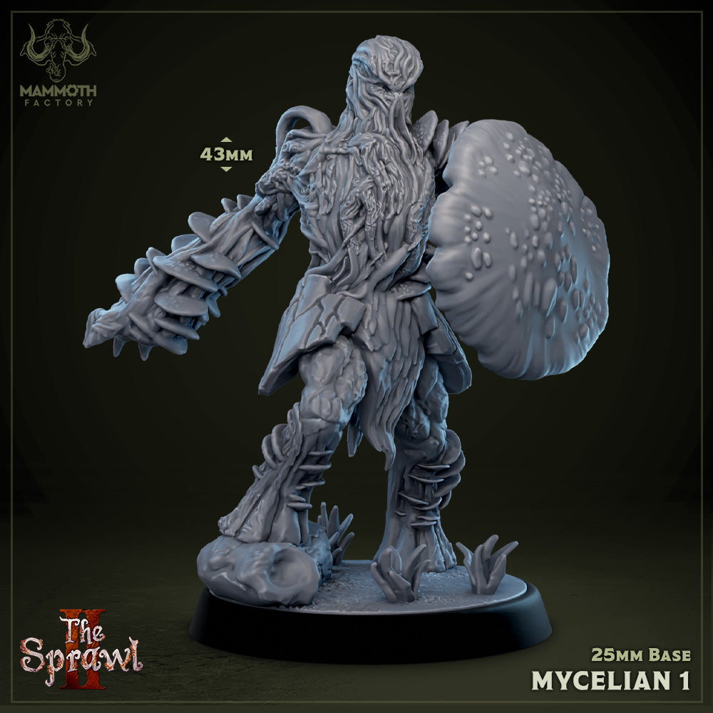 Mycelians | D&D Miniature