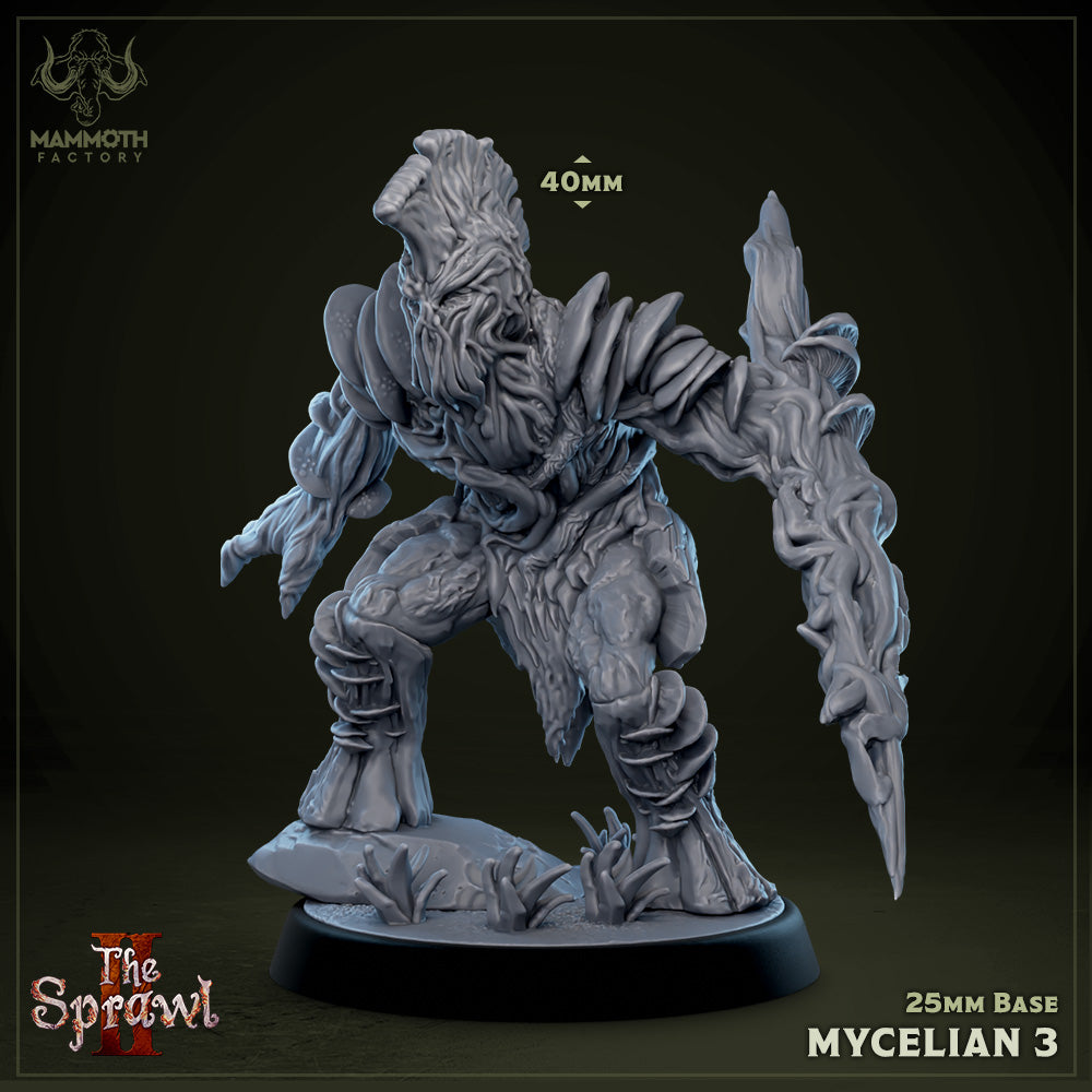 Mycelians | D&D Miniature