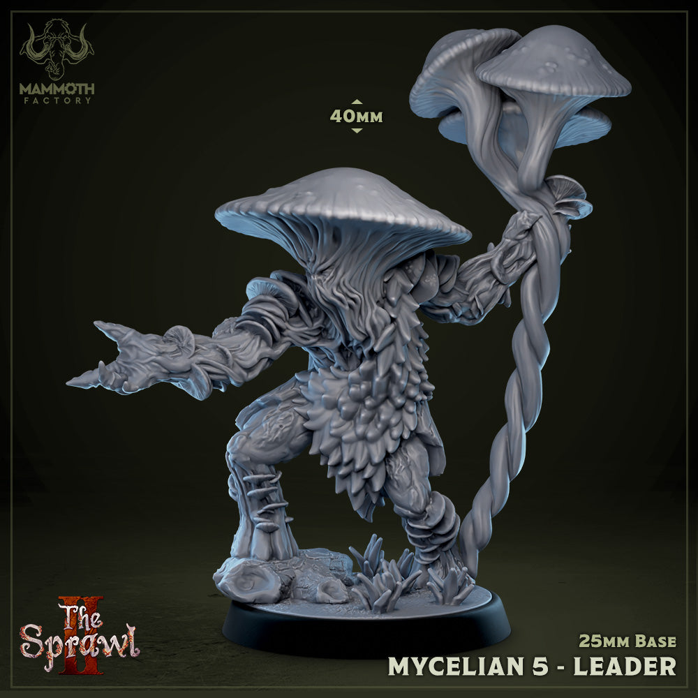 Mycelians | D&D Miniature