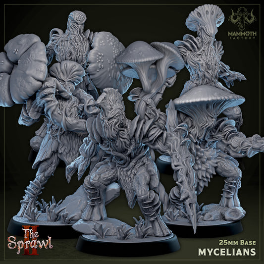 Mycelians | D&D Miniature