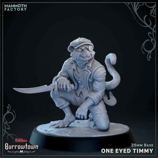 One Eyed Timmy | D&D Miniature