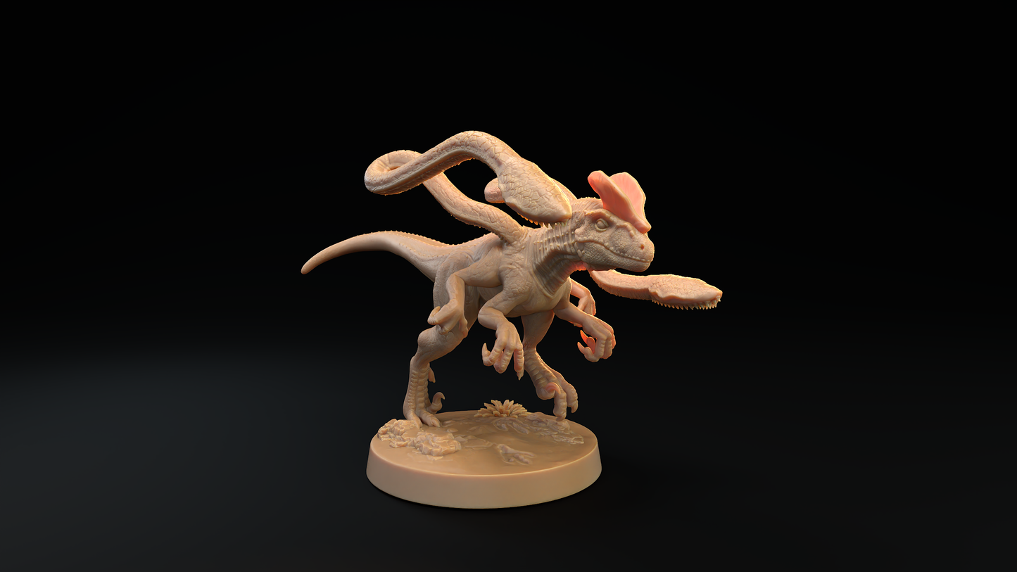 Displaceraptor