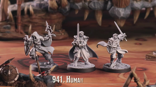 Human Paladin