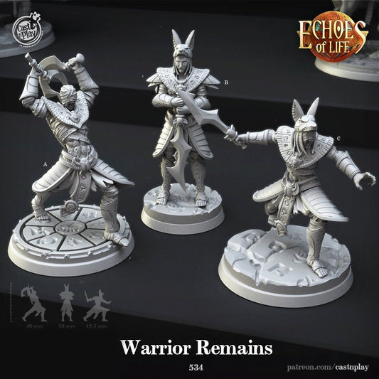 Warrior Remains | RPG Miniature for Dungeons and Dragons|Pathfinder|Tabletop Wargaming | Undead Miniature | Cast N Play