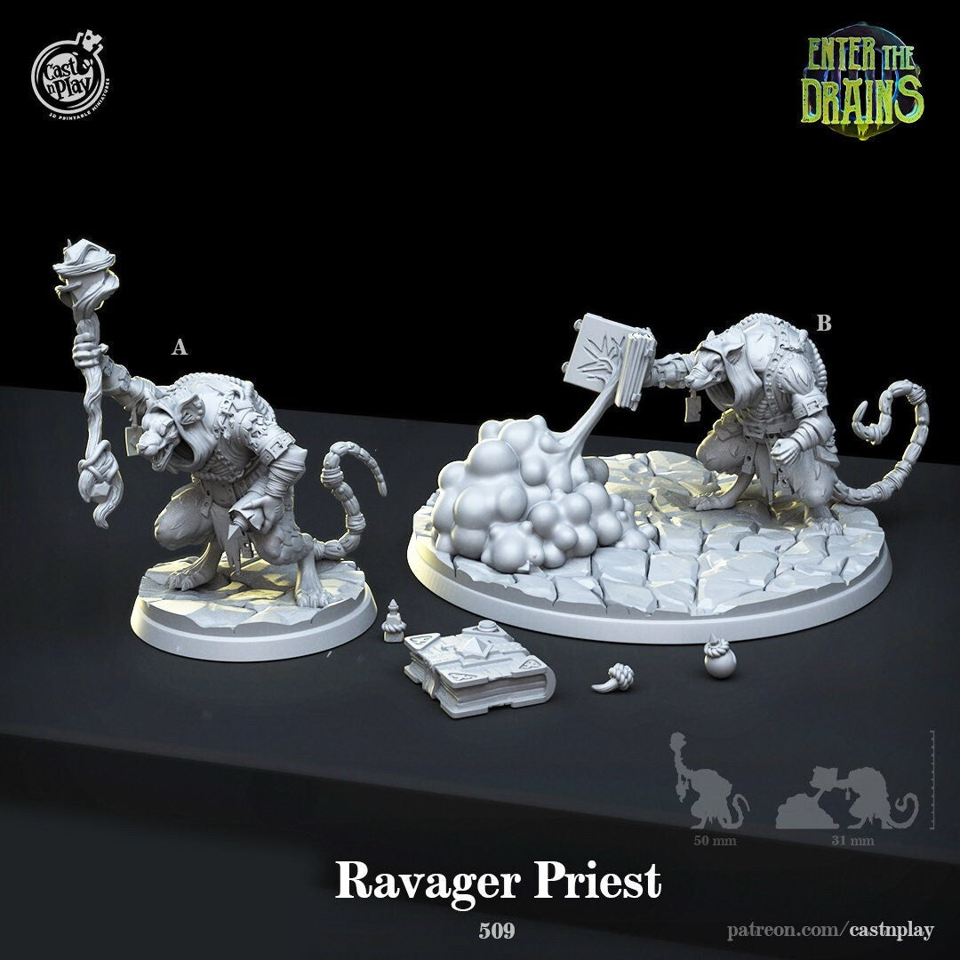 Ravager Priest | RPG Miniature for Dungeons and Dragons|Pathfinder|Tabletop Wargaming | Humanoid Miniature | Cast N Play