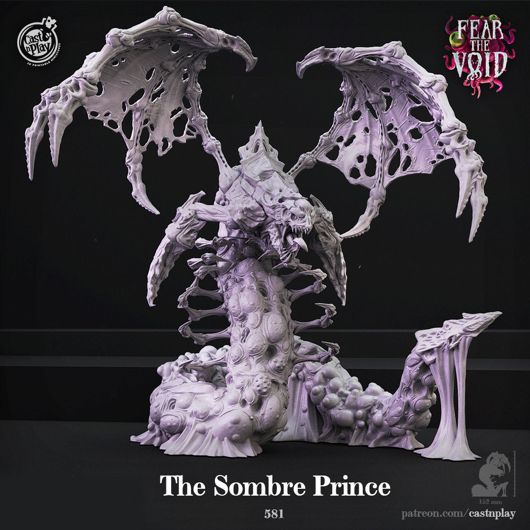 The Sombre Prince | RPG Miniature for Dungeons and Dragons|Pathfinder|Tabletop Wargaming | Monster Miniature | Cast N Play