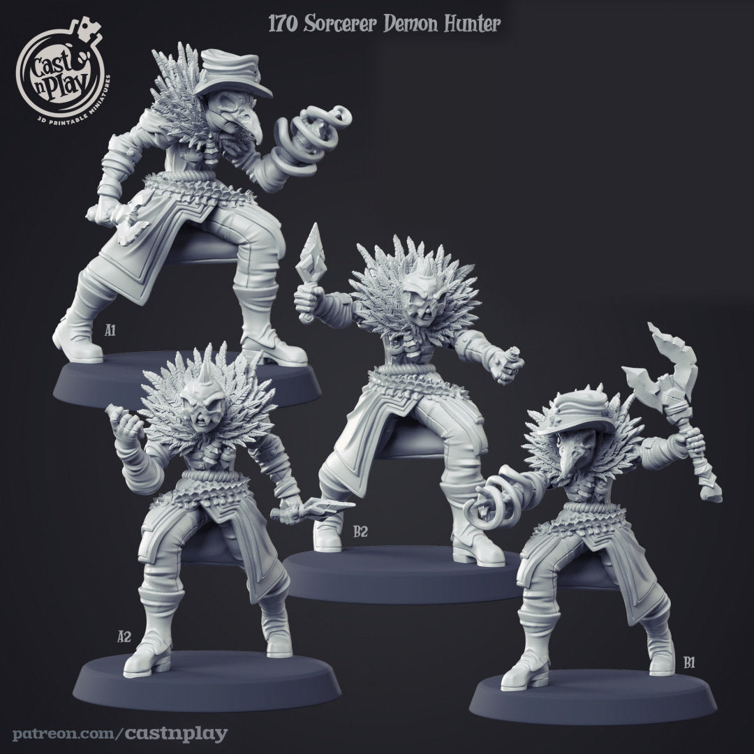 Sorcerer Demon Hunter | RPG Miniature for Dungeons and Dragons|Pathfinder|Tabletop Wargaming | Humanoid Miniature | Cast N Play
