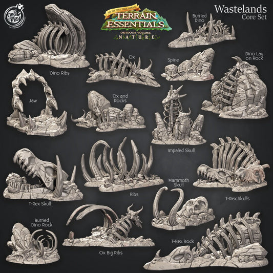 Wastelands Core Scatter | Wastelands Terrain | RPG Miniature for Dungeons and Dragons | Scatter Terrain | Cast N Play
