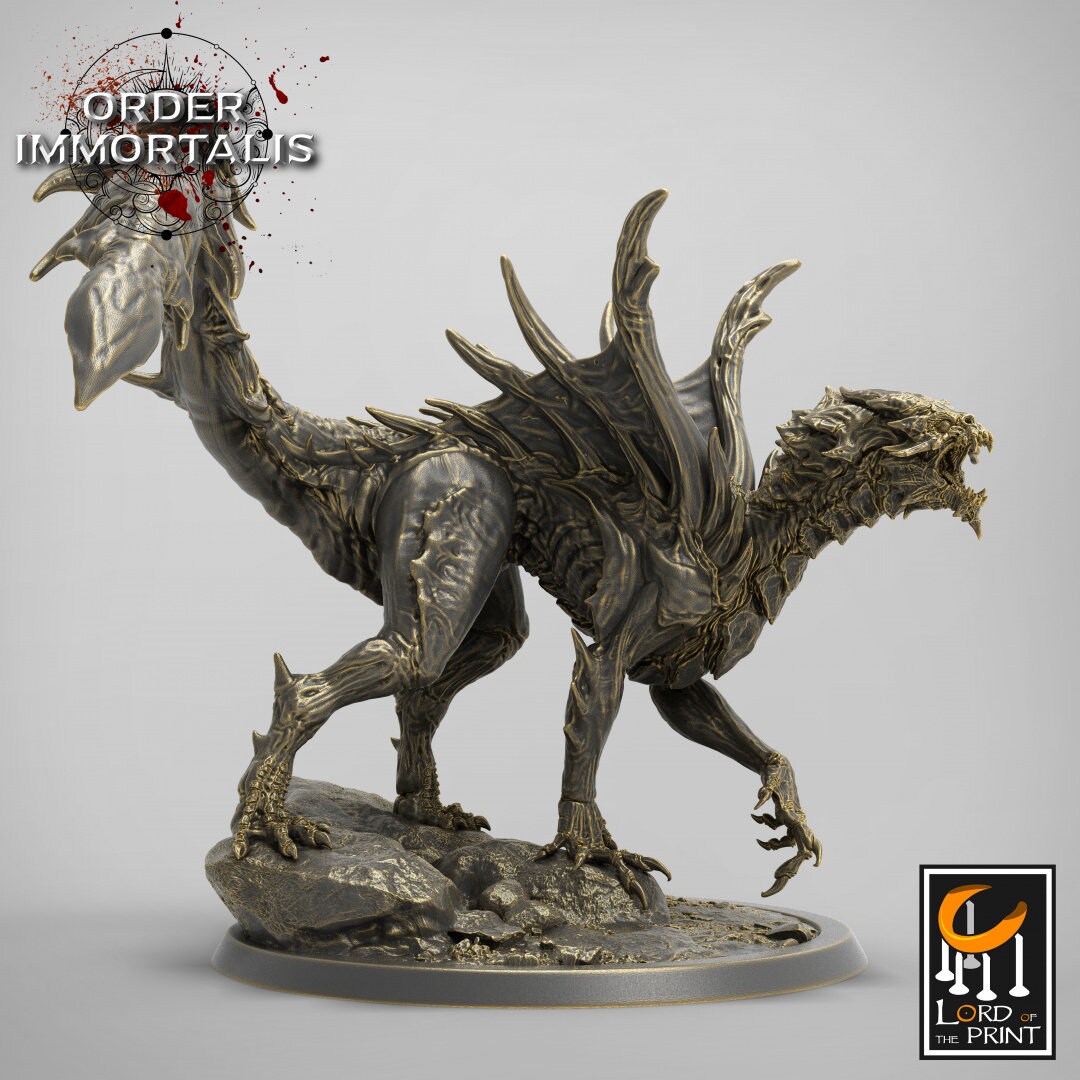 Young Blood Dragon | RPG Miniature for Dungeons and Dragons|Pathfinder|Tabletop Wargaming | Dragon Miniature | Lord of the Print