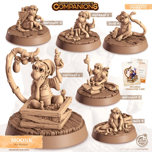 Monkey Companion | RPG Miniature for Dungeons and Dragons|Pathfinder|Tabletop Wargaming | Companion Miniature | Cast N Play
