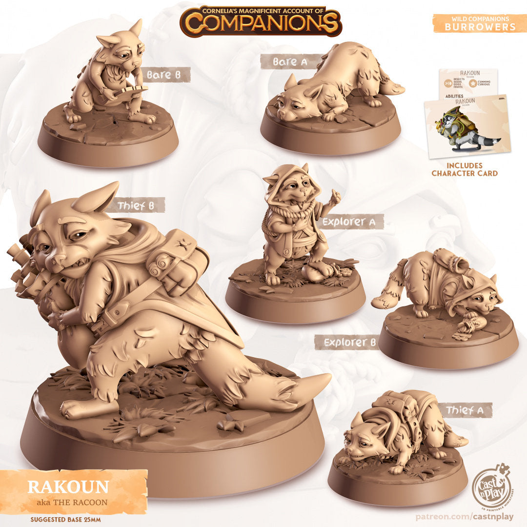 Raccoon Companion | RPG Miniature for Dungeons and Dragons|Pathfinder|Tabletop Wargaming | Companion Miniature | Cast N Play