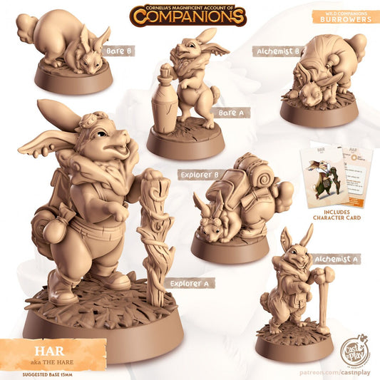 Hare Companion | RPG Miniature for Dungeons and Dragons|Pathfinder|Tabletop Wargaming | Companion Miniature | Cast N Play
