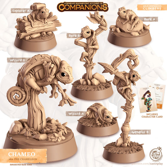 Chameleon Companion | RPG Miniature for Dungeons and Dragons|Pathfinder|Tabletop Wargaming | Companion Miniature | Cast N Play