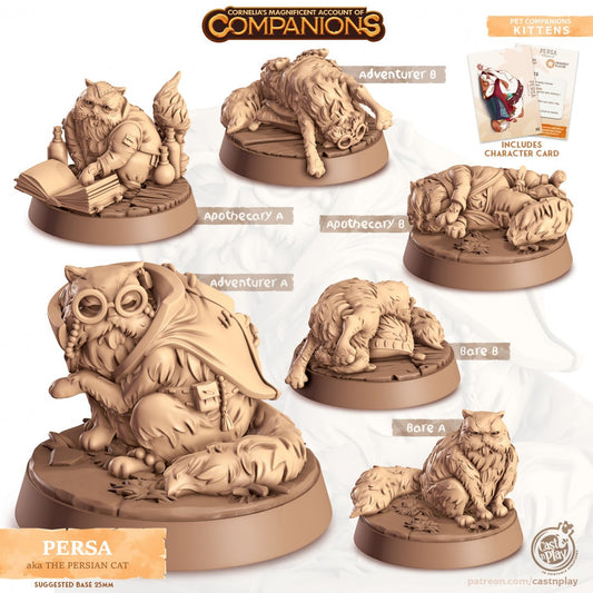 Persian Cat Companion | RPG Miniature for Dungeons and Dragons|Pathfinder|Tabletop Wargaming | Companion Miniature | Cast N Play