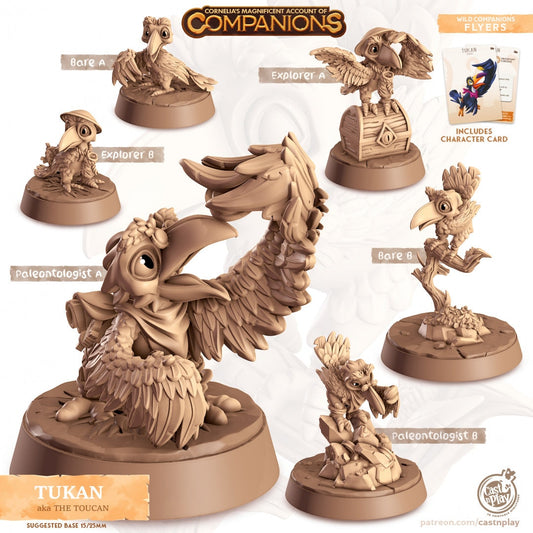 Toucan Companion | RPG Miniature for Dungeons and Dragons|Pathfinder|Tabletop Wargaming | Companion Miniature | Cast N Play