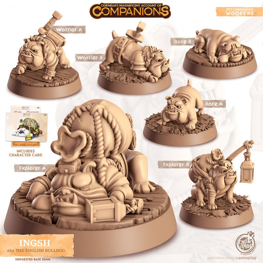 English Bulldog Companion | RPG Miniature for Dungeons and Dragons|Pathfinder|Tabletop Wargaming | Companion Miniature | Cast N Play