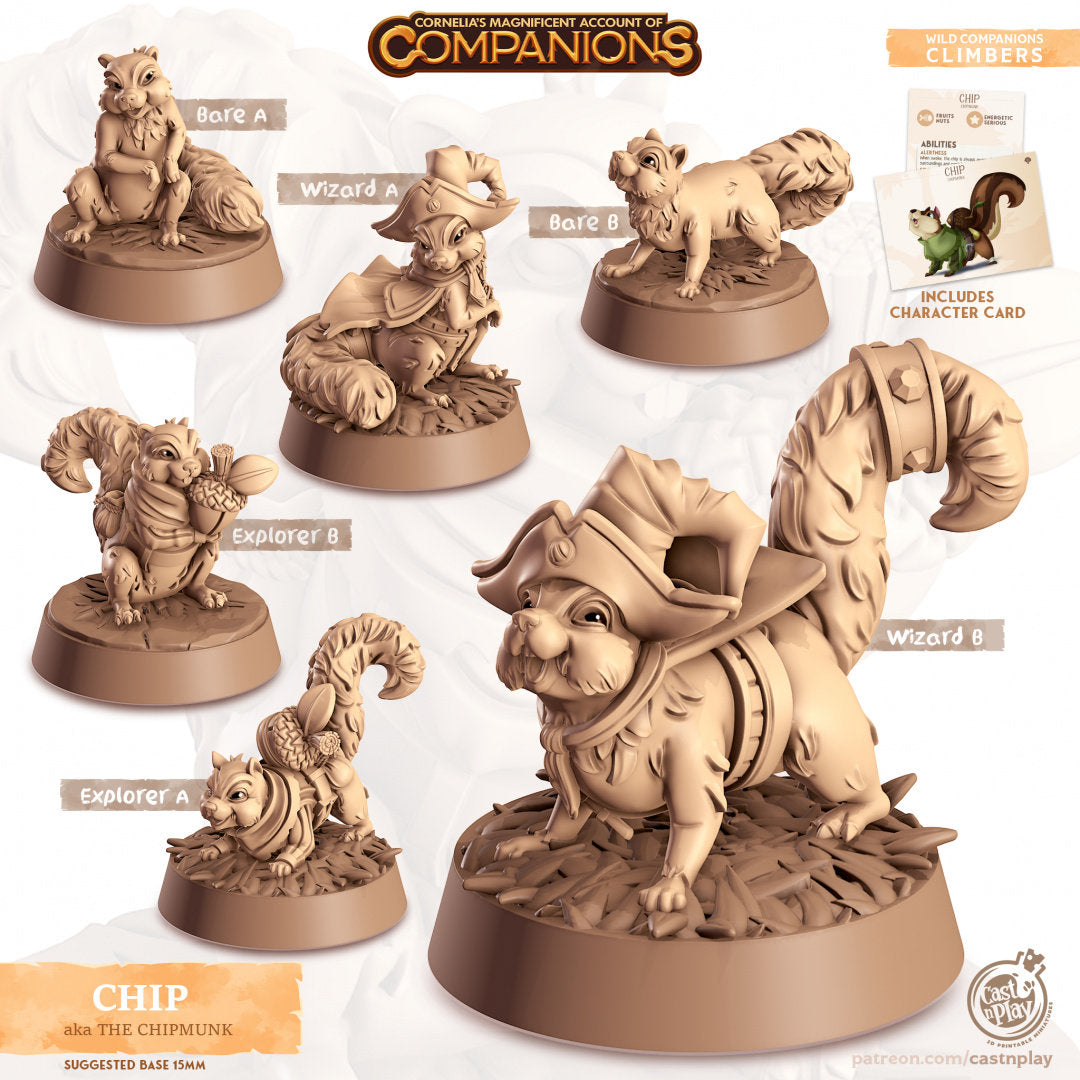 Chipmunk Companion | RPG Miniature for Dungeons and Dragons|Pathfinder|Tabletop Wargaming | Companion Miniature | Cast N Play