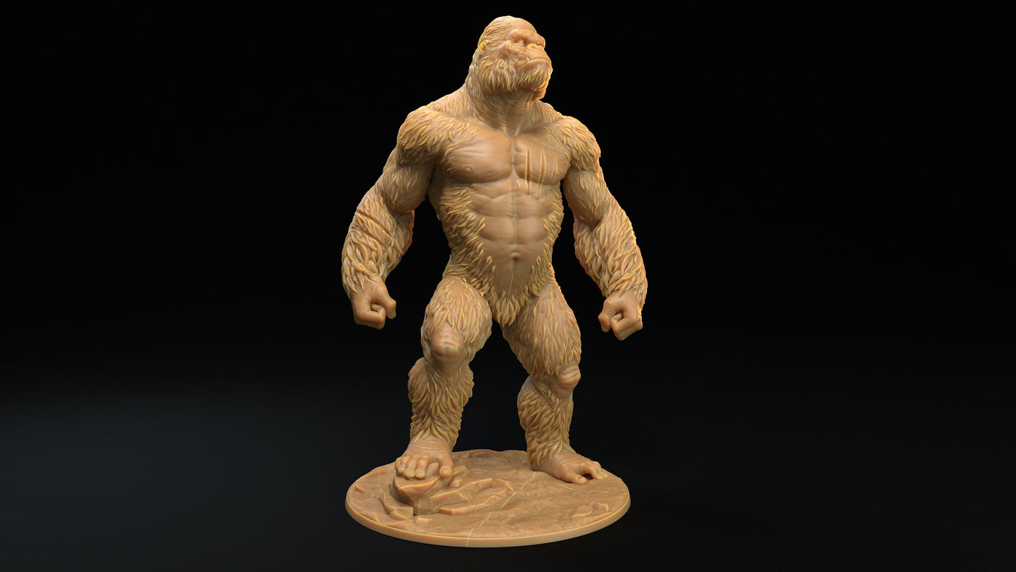 Khong | RPG Miniature for Dungeons and Dragons|Pathfinder|Tabletop Wargaming | Monster Miniature | Dragon Trappers Lodge