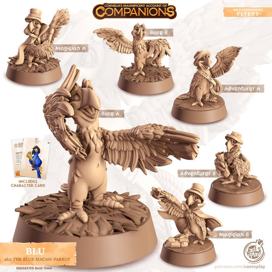 Blue Macaw Companion | RPG Miniature for Dungeons and Dragons|Pathfinder|Tabletop Wargaming | Companion Miniature | Cast N Play