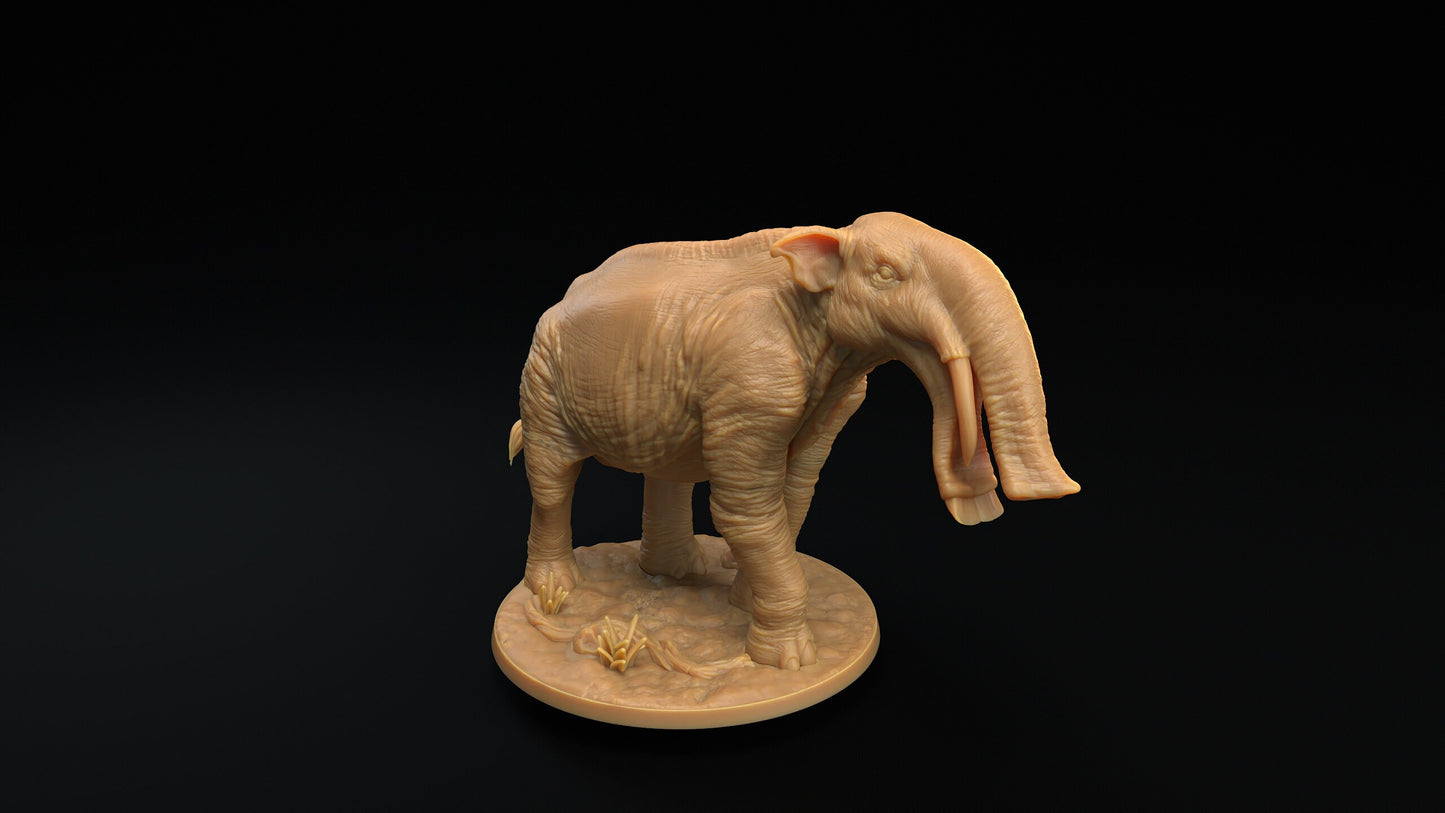 Platybelodon | RPG Miniature for Dungeons and Dragons|Pathfinder|Tabletop Wargaming | Beast Miniature | Dragon Trappers Lodge