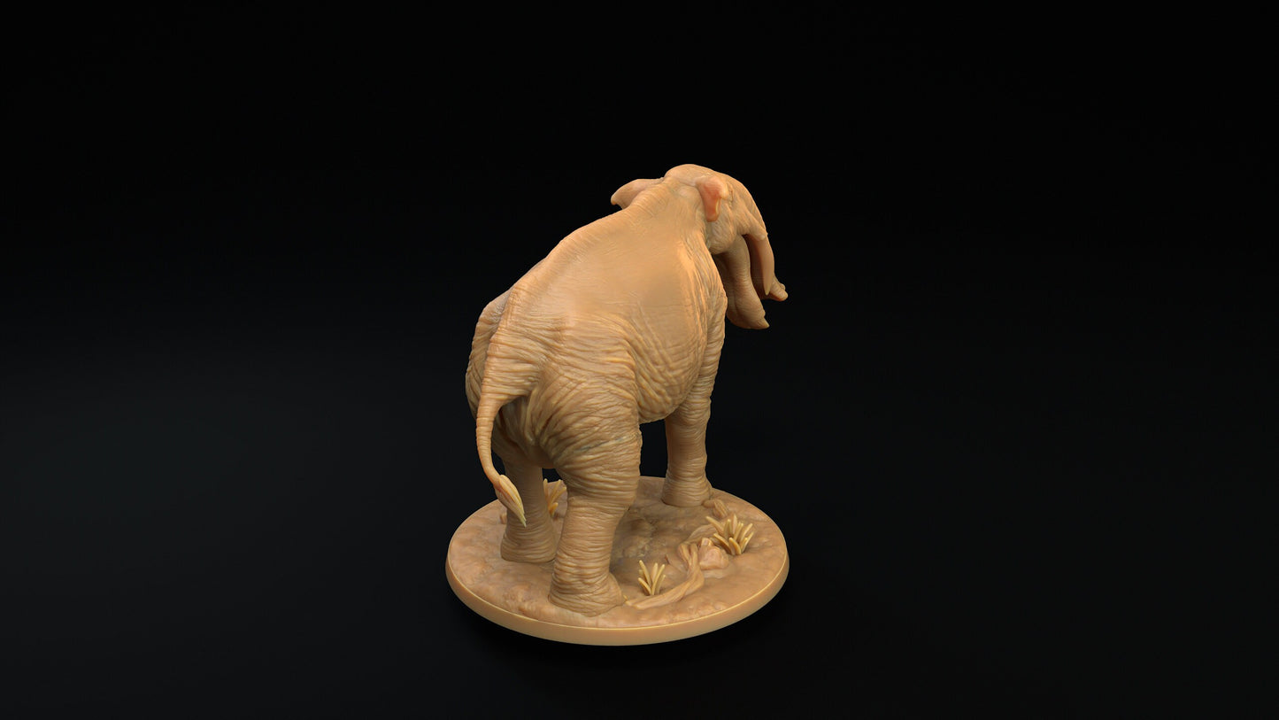 Platybelodon | RPG Miniature for Dungeons and Dragons|Pathfinder|Tabletop Wargaming | Beast Miniature | Dragon Trappers Lodge