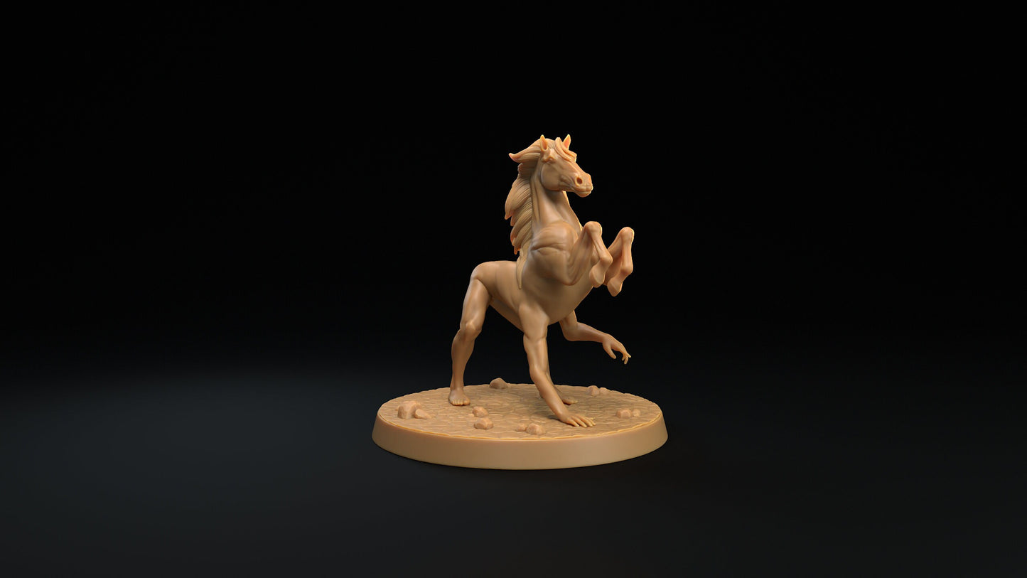 Reverse Centaurs | RPG Miniature for Dungeons and Dragons|Pathfinder|Tabletop Wargaming | Monster Miniature | Dragon Trappers Lodge