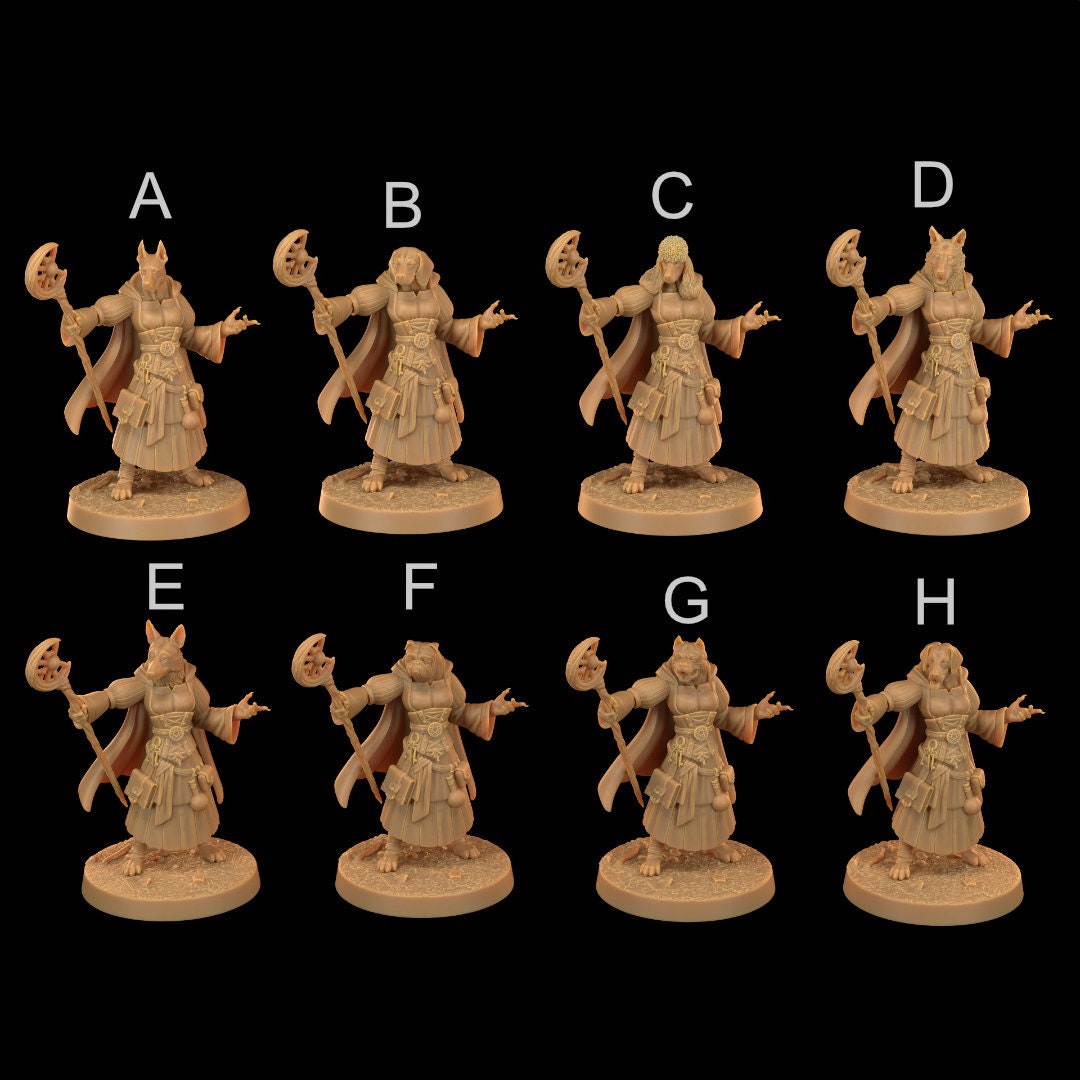Dog Mage | RPG Miniature for Dungeons and Dragons|Pathfinder|Tabletop Wargaming | Humanoid Miniature | Dragon Trappers Lodge
